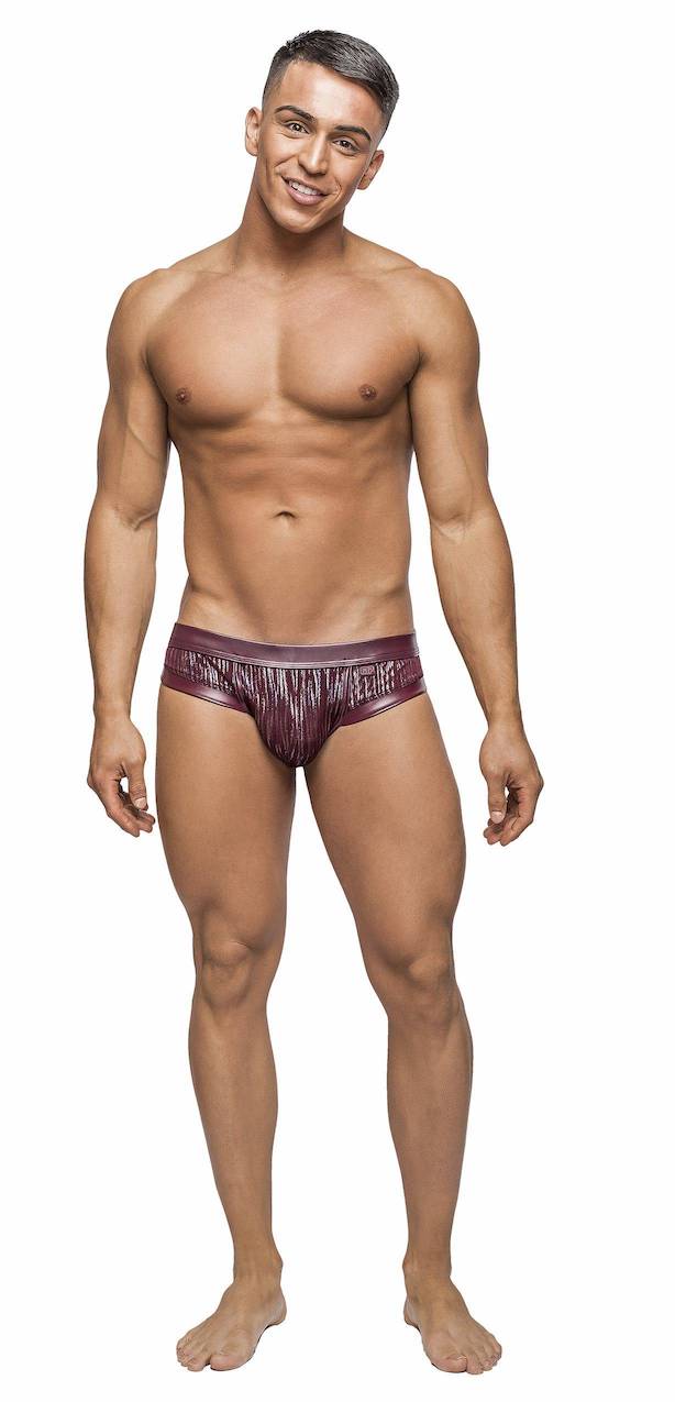MP394242 Panel Jock