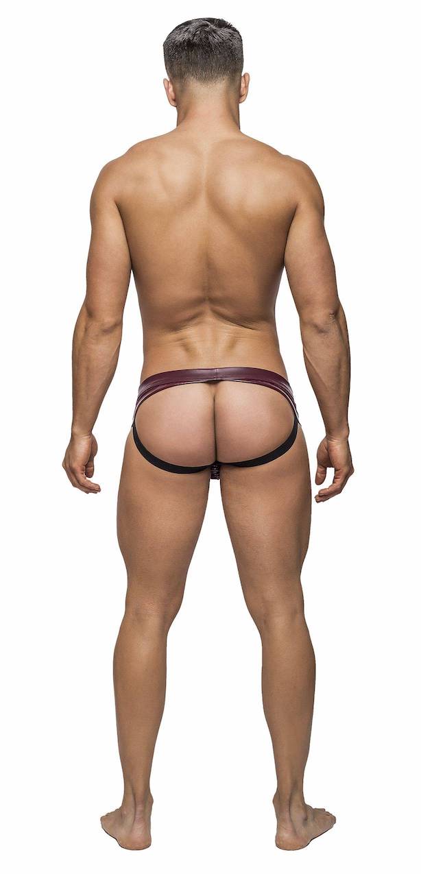 MP394242 Panel Jock