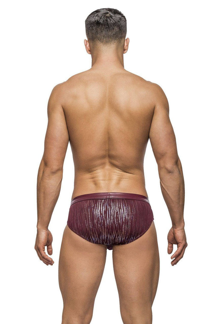 MP485242 Burgundy Insert Bikini