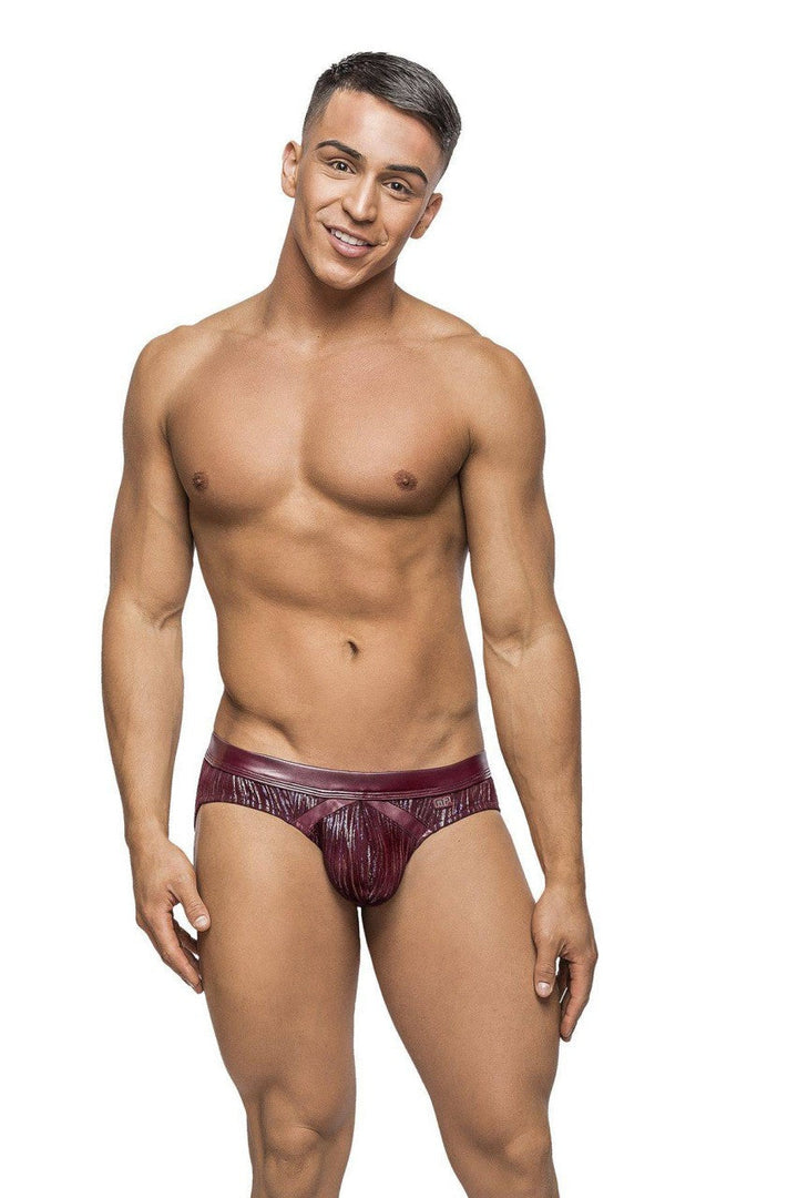 MP485242 Burgundy Insert Bikini