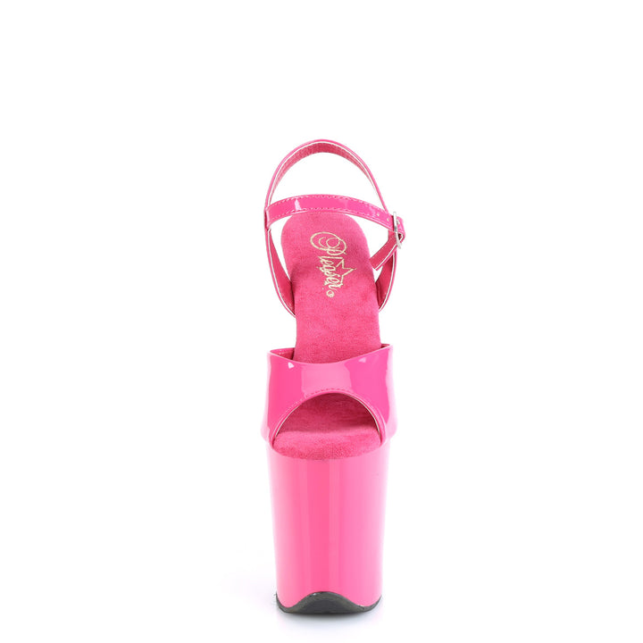 FLAMINGO-809